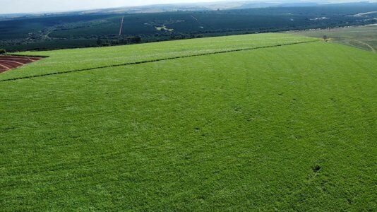 FAZENDA EM PRATA MG