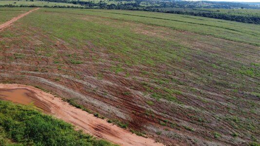 FAZENDA EM PRATA MG