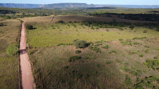 FAZENDA EM MIRACEMA/TO