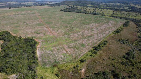 FAZENDA EM PRATA MG