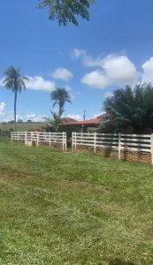 FAZENDA EM PRATA MG