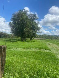 FAZENDA EM PRATA MG